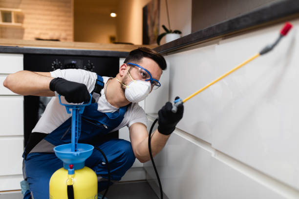 Best Cockroach Control Services  in Glespie, IL