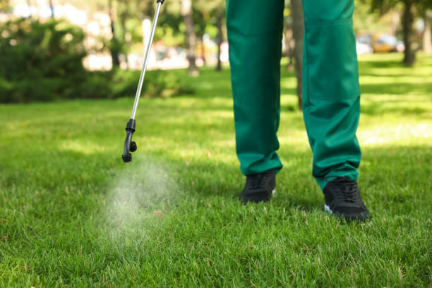 Best Pest Control Cost  in Glespie, IL