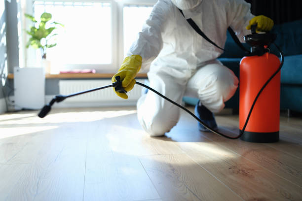 Best Pest Inspection Near Me  in Glespie, IL