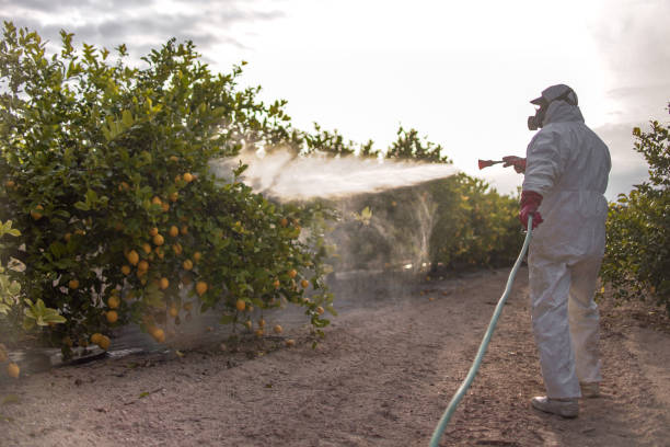 Best Pest Control Treatment  in Glespie, IL