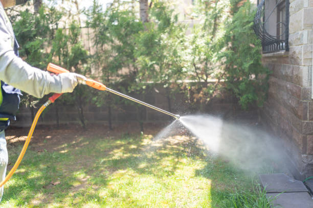 Best Affordable Pest Control Services  in Glespie, IL