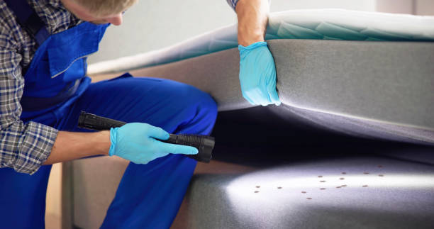 Best Commercial Pest Control Services  in Glespie, IL