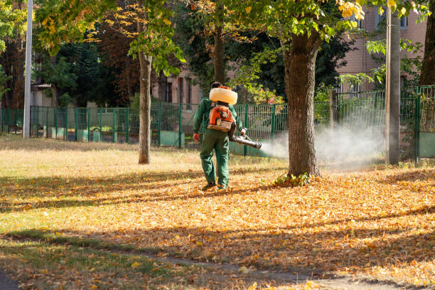 Best Exterminator Services  in Glespie, IL