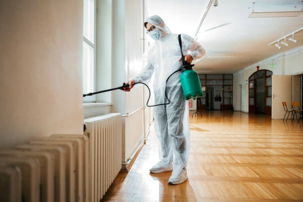Wasp Removal Services in Gillespie, IL