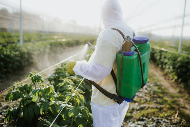 Best Wildlife Control Services  in Glespie, IL